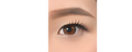 COLORPIA LENS HONEY