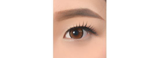 COLORPIA LENS HONEY