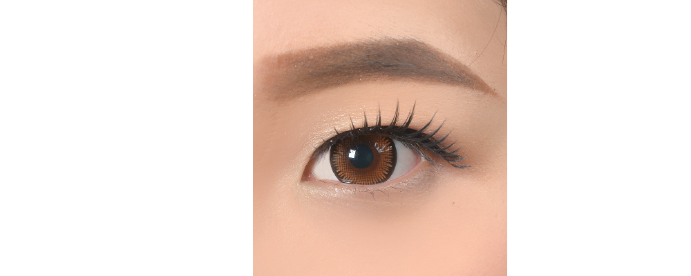 COLORPIA LENS HONEY